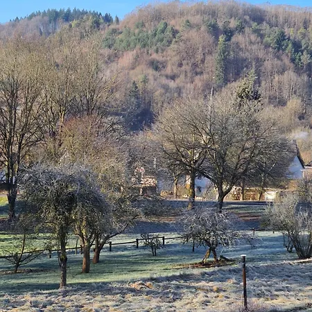 Burgblick